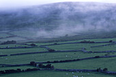 Nebel über den Feldern, County Kerry, Ireland