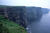 Cliffs of Moher bei Liscannor, County Clare, Irland