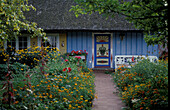 Bungalow, Zingst, Mecklenburg-Vorpommern, Deutschland, Europa