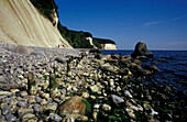 Chalk cliffs and pebble beach near Sassnitz, Rugen Island, Mecklenburg-Pomerania, Germany, Europe