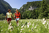A couple walking through a meadow, Gleinkernsee, Upper Austria, Austria