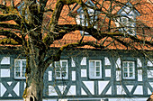 Close up of a half-timbered house in Heiligenstadt, Franconian Switzerland, Franconia, Bavaria, Germany