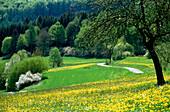 Oberleinleitertal im Frühling, Fränkische Schweiz, Franken, Bayern, Deutschland