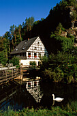 Mühle und Schwan an der Wiesent in Pottenstein, Fränkische Schweiz, Franken, Bayern, Deutschland