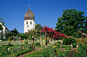 Clock tower of nunnery and nunnery garden with roses, island of Fraueninsel, Lake Chiemsee, Chiemgau, Upper Bavaria, Bavaria, Germany
