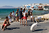 Ein Tourist fotographiert ein Pelikan, Klein-Venedig, Mykonos, Kykladen, Griechenland