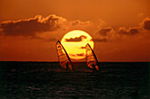 Two Windsurfers windsurfing at sunset, Sport