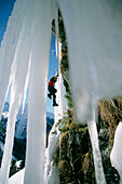 Man ice climbing, Solfkallen, Store Skandal, Norway, Europe