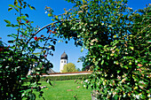 Klostergarten mit Münster, Fraueninsel, Chiemsee, Bayern, Deutschland, Europa