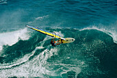 Man windsurfing near Hawaii, USA, America