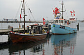Fischerboote liegen im Hafen von Timmendorf, Insel Poel, Mecklenburg-Vorpommern, Deutschland, Europa