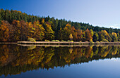 Deininger Weiher with reflection and Autumn colours, Upper Bavaria, Bavaria, Germany
