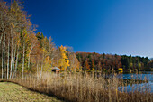 Lake Haarsee in Autumn colours, near Weilheim, Upper Bavaria, Bavaria, Germany