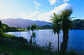 View of lake Lyndon, Arthurs Pass, South Island, New Zealand