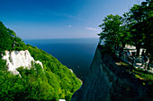 Koenigsstuhl, Jasmund National Park, Ruegen Island, Mecklenburg-Western Pomerania, Germany