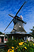 Windmühle, Insel Norderney, Ostfriesische Inseln, Deutschland, Europa