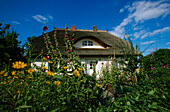 House, Ahrenshoop-Althagen, Fischland, Mecklenburg-Western Pomerania