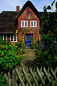 House with Reetdach, Amrum, North Frisia, Schleswig-Holstein, Germany