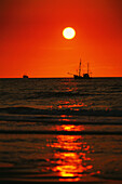 Shrimp boat on North Sea in sunset, Germany