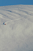 Man, Skiing, Powderturn, Downhill, Falkertsee, Carinthia, Austria