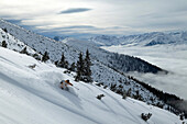 Mann, Skifahren, Schwung im Tiefschnee, Abfahrt, Tal, Rosshütte, Tirol, Österreich