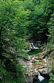 waterfall and ponds, canyon of Fischbachklamm, Chiemgau, Upper Bavaria, Bavaria, Germany