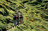 four young ladies hiking, Himmeleck, Allgäu range, Allgaeu, Swabia, Deutschland