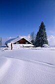 Rodeln an der Lustenauer Hütte, Schwarzenberg, Bregenzer Wald, Vorarlberg, Österreich
