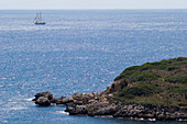 Segelschiff vor der Küste, Mallorca, Balearen, Spanien, Europa