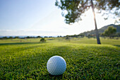 Golf ball, Club de Golf Alcanada, Badia de Alcudia, Majorca, Spain