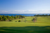 Golfplatz mit Meerblick, Club de Golf Alcanada, Badia de Alcudia, Mallorca, Spanien