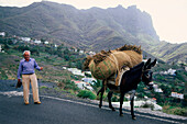 Farmer with donkey near Alojera, La Gomera, Canary Islands, Spain