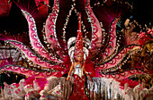 Wahl der Karnevalskönigin, Santa Cruz de Tenerife, Teneriffa, Kanarische Inseln, Spanien, Europa