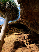 Prehistoric caverns, Cenubio de Valerón bei Moya, Gran Canaria, Canary Islands, Spain