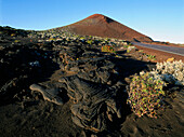 Lavafeld von erloschenem Vulkan in der Nähe von La Restlinga, El Hierro, Kanarische Inseln, Spanien