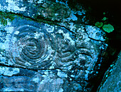 Prehistoric engraving in stone, Fuente de la Zarza, spring near Llanos Negro, La Palma, Canary Islands, Spain