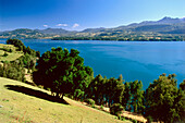 Wiesen am Lago Calafquen östlich von Panguipulli, Seengebiet, Chile, Südamerika
