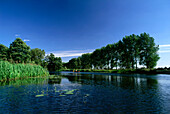 Paddelboot, Hauptspree bei Lübben, Spreewald, Brandenburg, Deutschland