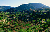 Valldemossa und seine Kartause in Sierra de Tramuntana, Mallorca, Balearen, Spanien