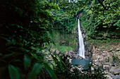 Wasserfall Senriga Taki, subtropischer Wald des Kirishima-Yaku Nationalparks, Südinsel Kyushu, Japan