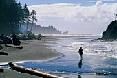 Wanderer am Second Beach, Baumstämme, Wanderweg, Westküste, Olympic Nat. Park, Washington, USA