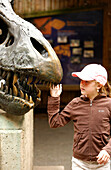 A child looking at a sculpture of a dinosaur in Washington Zoo, Washington DC, United States, USA