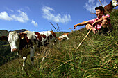 Shepherd with cows, Hohe Tauern, Salzburger Land, Austria