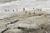 Leute spazieren auf der Pasterze Gletscher, der größte Gletscher Österreichs, Franz Josephs Höhe, 2369 m, Großglockner, 3798 m, der höchste Berg Österreichs, Kärnten, Österreich