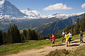Group of people nordic walking at Bussalp 1800 m, view to Eiger North Face 3970 m, Grindelwald, Bernese Oberland, Canton of Bern, Switzerland