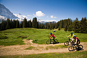Three people riding mountain bikes at Bussalp (1800 m), v Grindelwald, Bernese Oberland (highlands), Canton of Bern, Switzerland