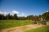 Three people riding mountain bikes at Bussalp (1800 m), v Grindelwald, Bernese Oberland (highlands), Canton of Bern, Switzerland