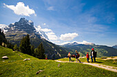 Hikers on alp Pfingstegg (1391 m), Schreckhorn (4078 m) and Eiger (3970 m) in background, Grindelwald, Bernese Oberland (highlands), Canton of Bern, Switzerland