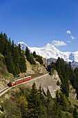 Schynige Platte Railway, Eiger (3970 m), Mönch (4107 m) and Jungfrau (4158 m) in background, Schynige Platte (1967 m), Interlaken, Bernese Oberland (highlands), Canton of Bern, Switzerland