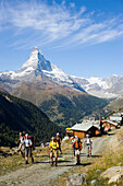 Group of hikers arriving the mountain village Findeln, Matterhorn (4478 m) in background, Zermatt, Valais, Switzerland
